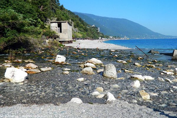 Внешний вид