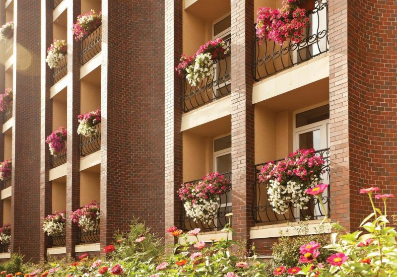 Внешний вид