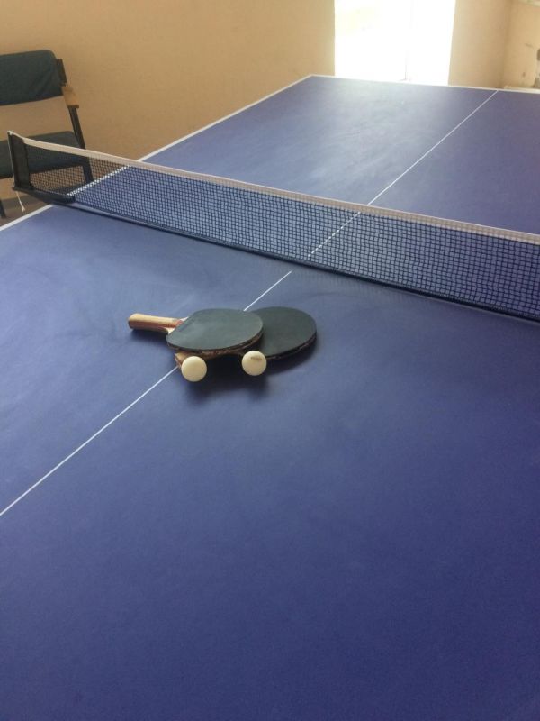 Настольный теннис