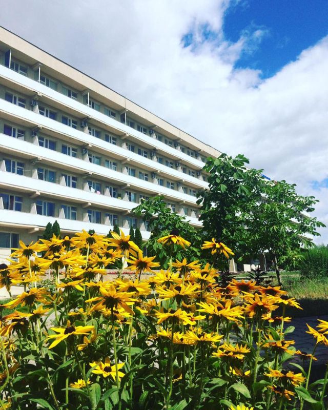 Территория