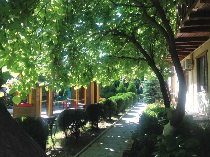 Внешний вид. Корпус