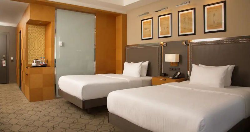 Делюкс 2-местный (TWIN)