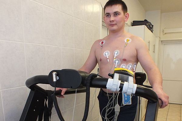 Стресс-система