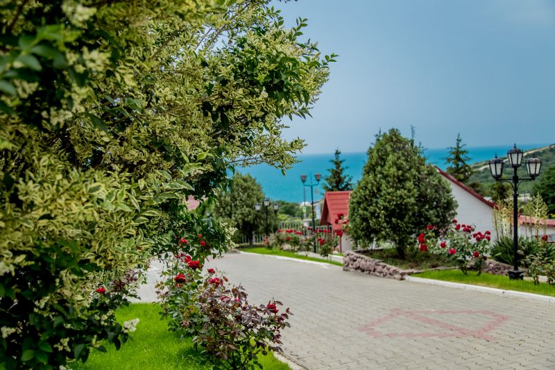 Территория