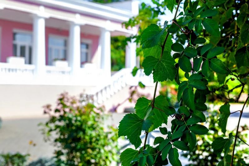 Территория