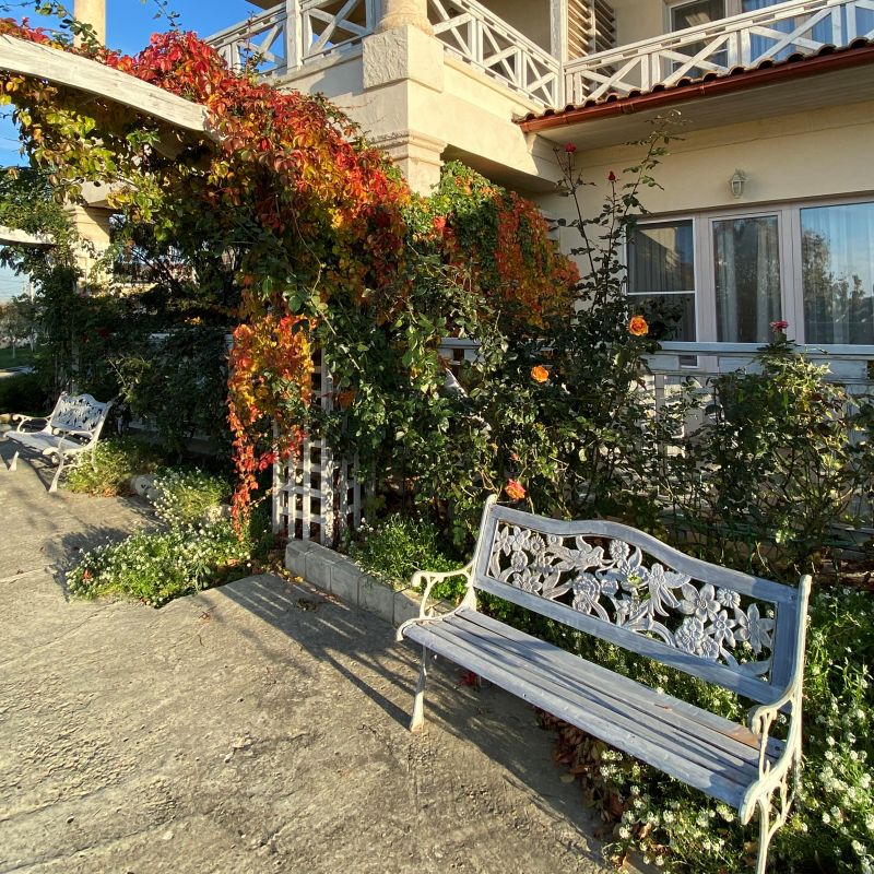 Территория