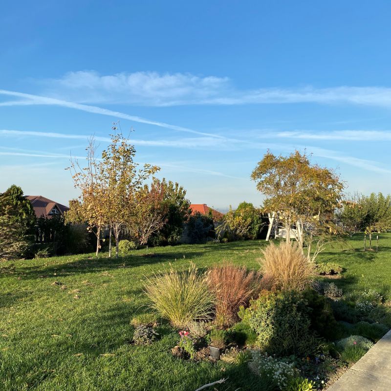 Территория