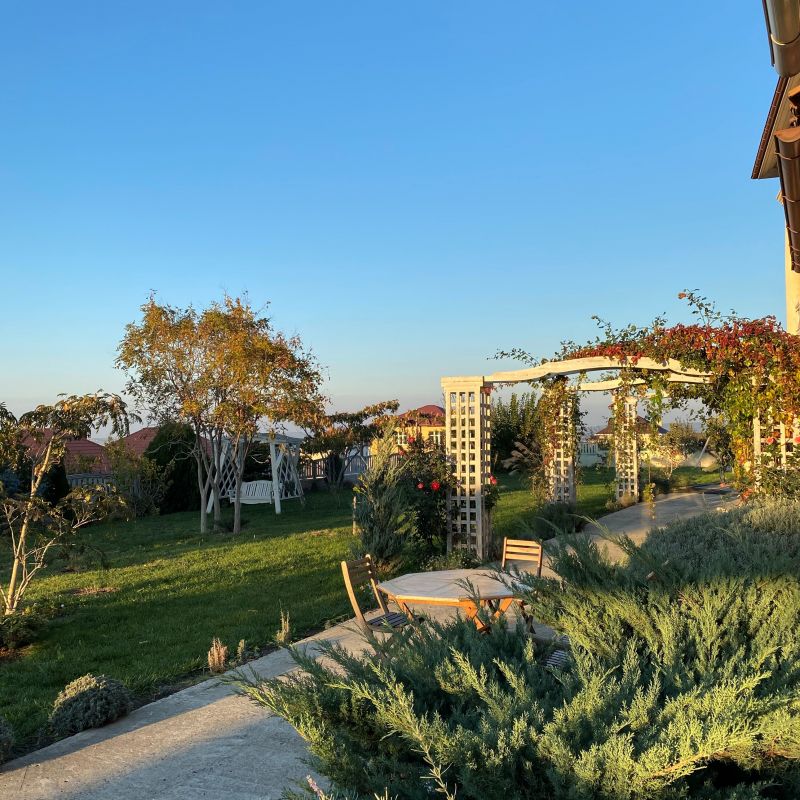 Территория