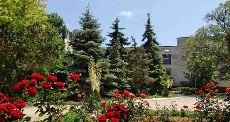 Территория