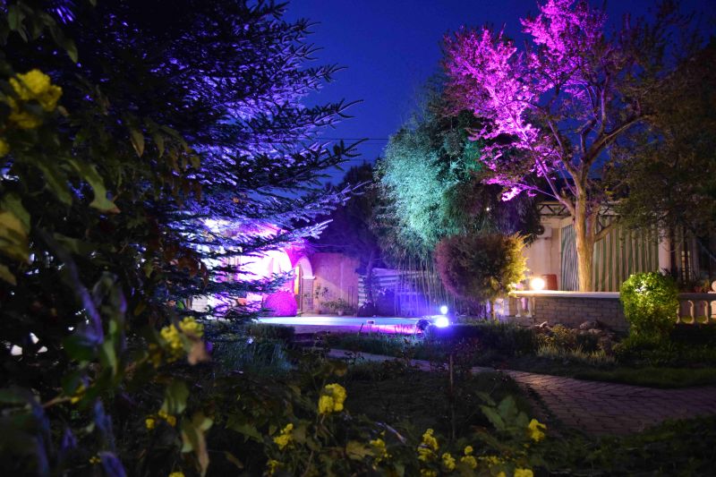 Территория