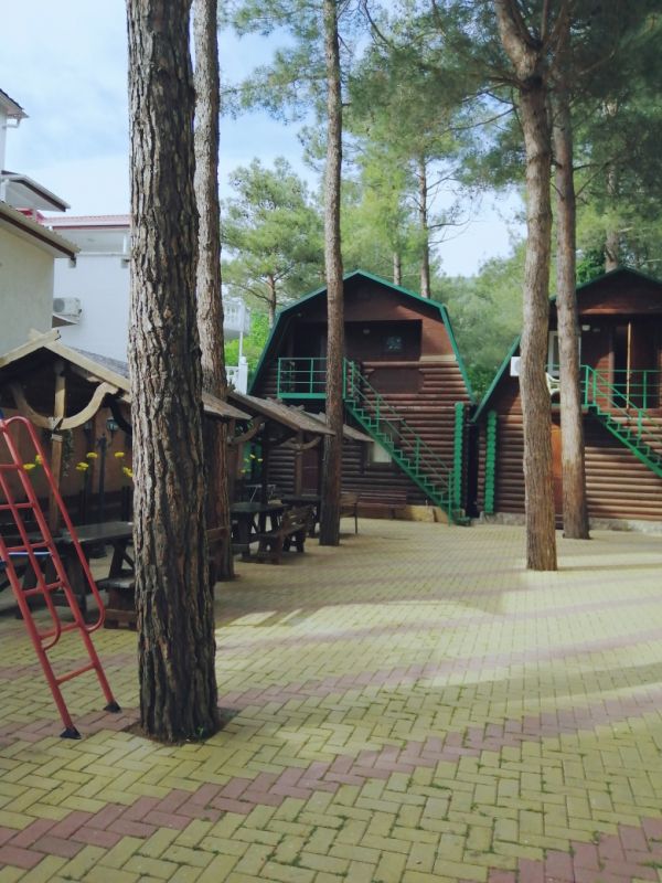 Территория