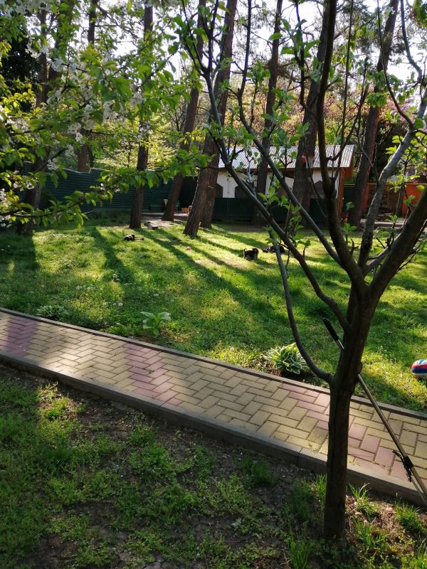 Территория