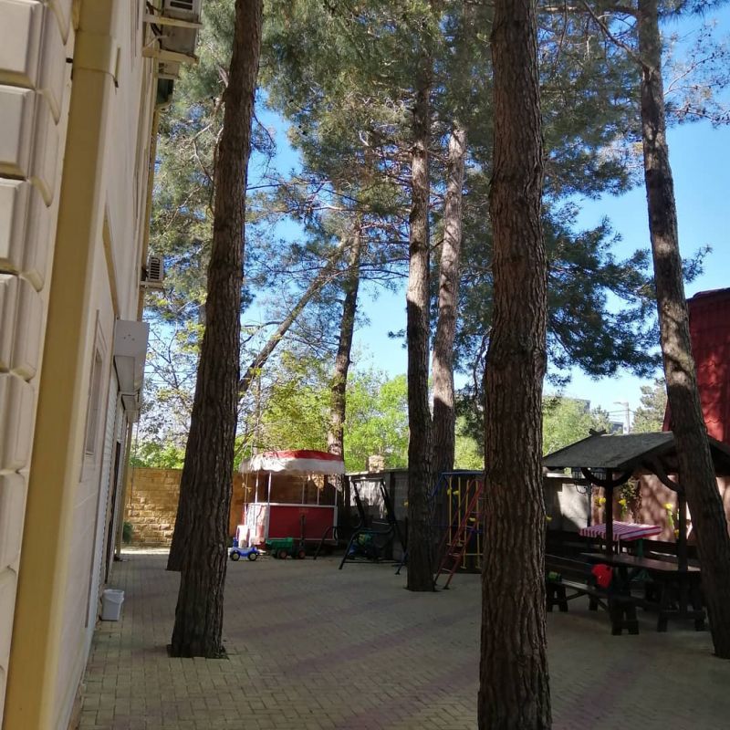 Территория