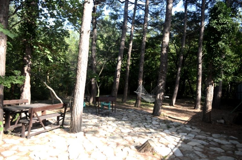 Территория