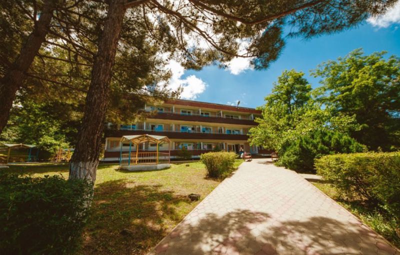 Внешний вид