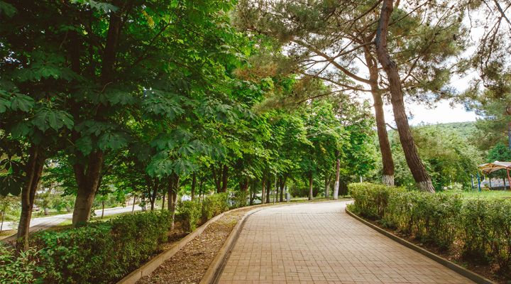 Территория