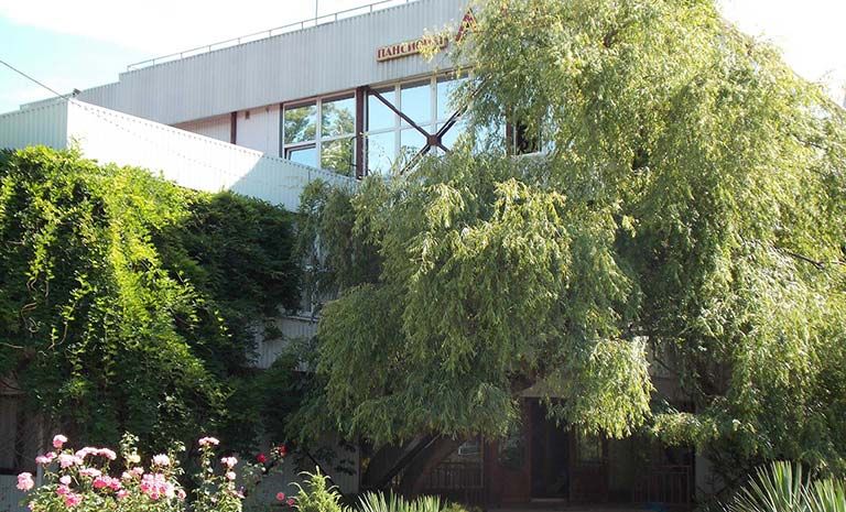 Внешний вид