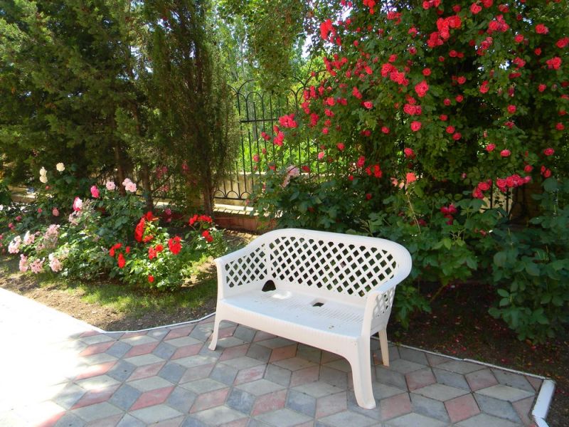 Территория