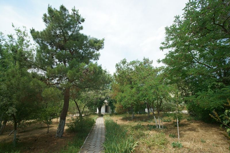 фламинго 1-этажный корпус_1