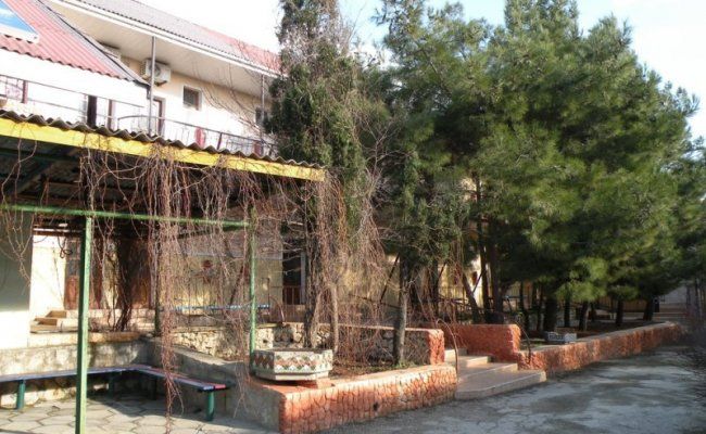 фламинго территория  (4)