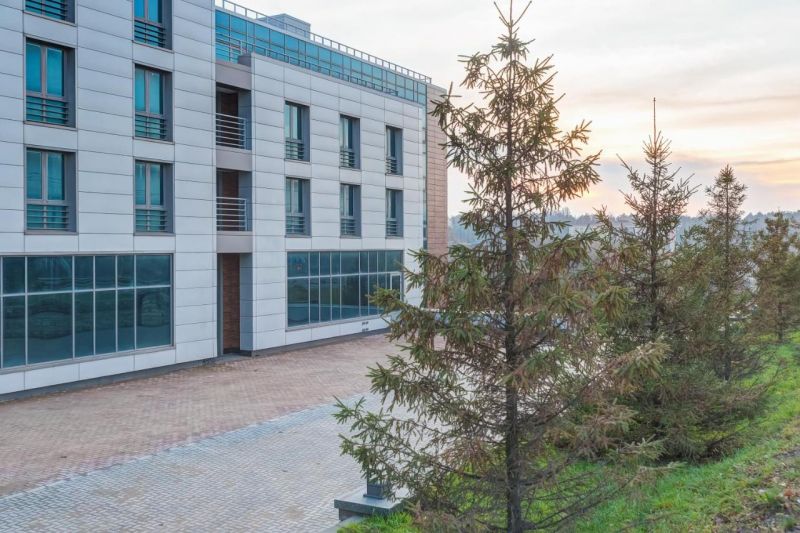 Внешний вид