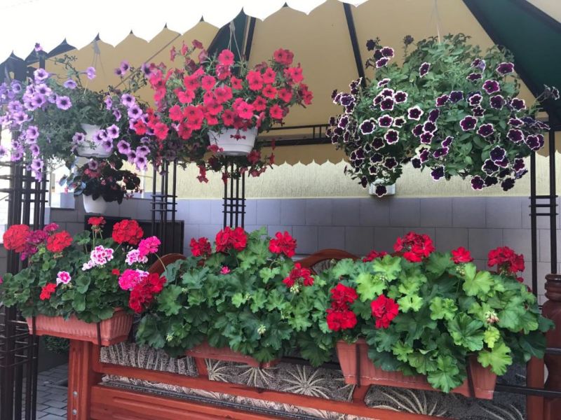 Территория