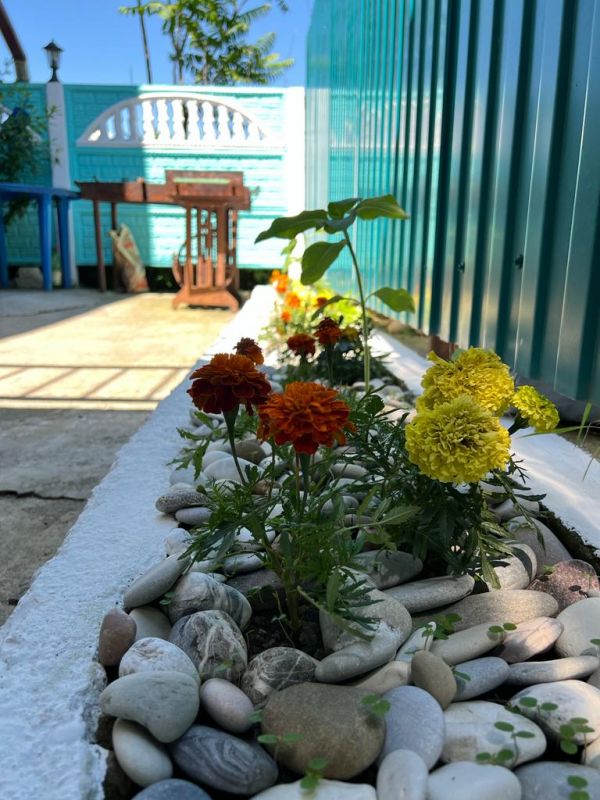 Территория, мангальная зона