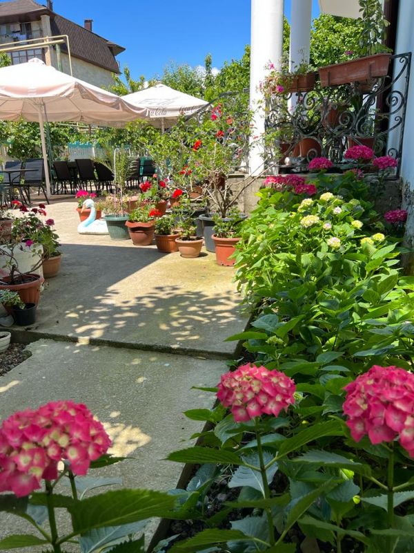 Территория гостевого дома