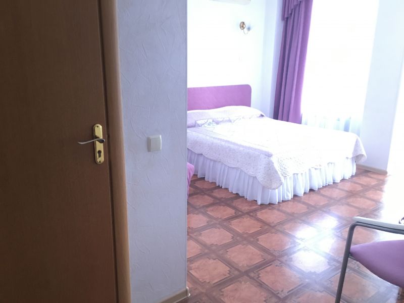 Номер 2-местный 1-комнатный (с доп. местом № 4)