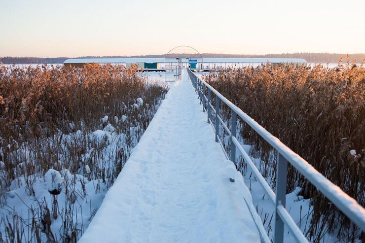 Территория