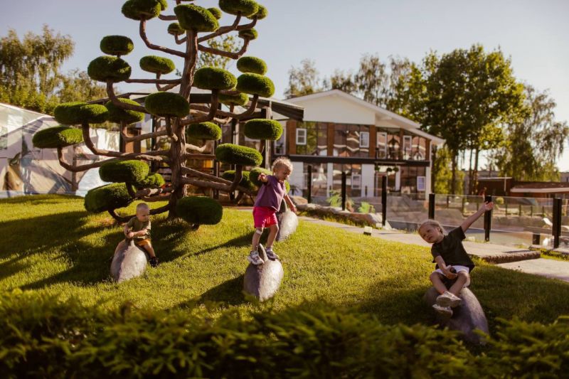 игровая территор