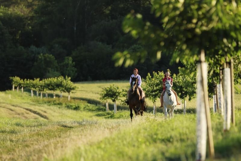Конные экскурсии