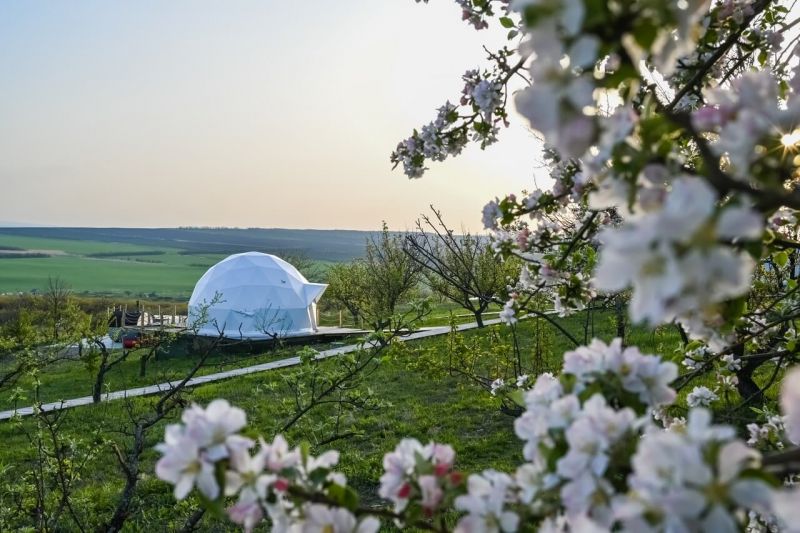 Внешний вид