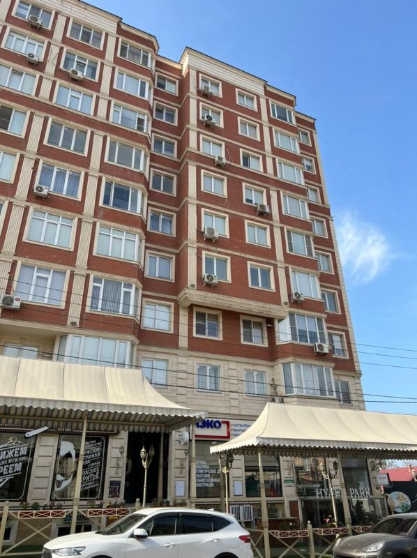 Внешний вид