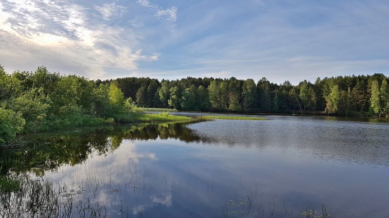 Территория