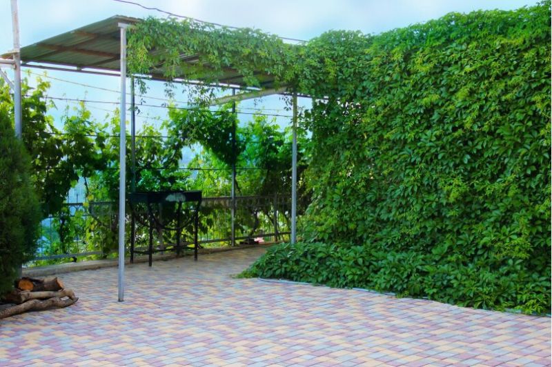 «Bruni» / «Бруни» гостиница