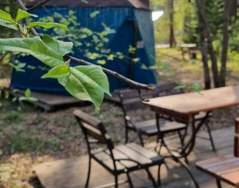 Пикник-парк