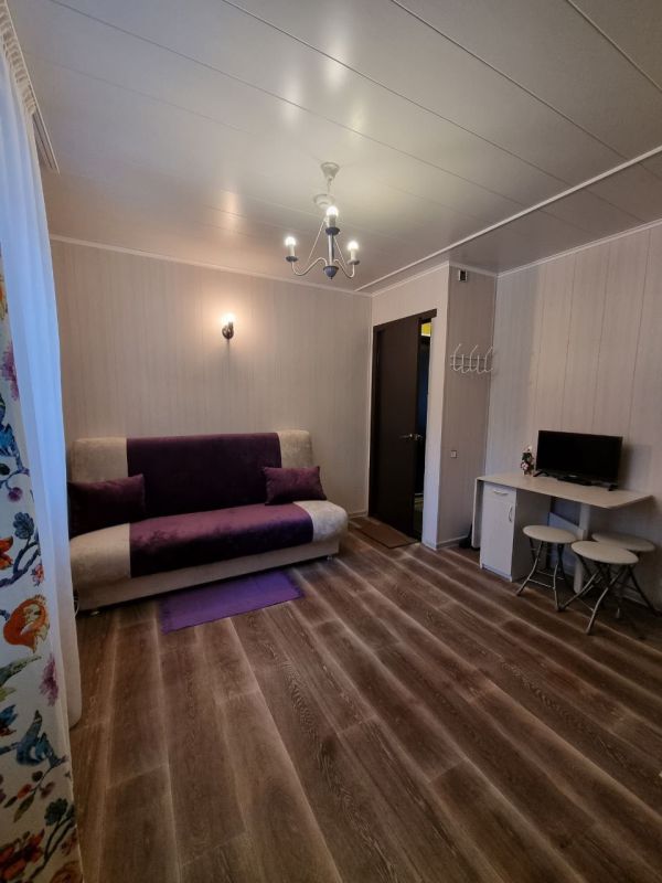 Фиолетовый Стандарт