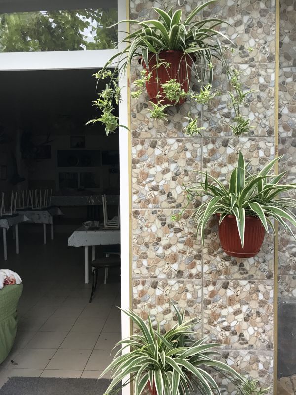 Территория