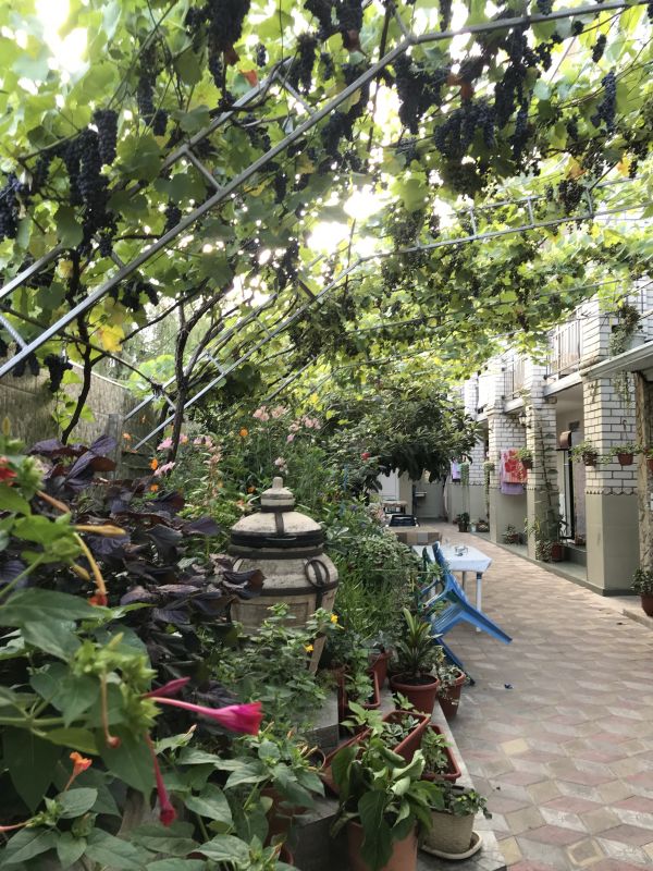 Территория