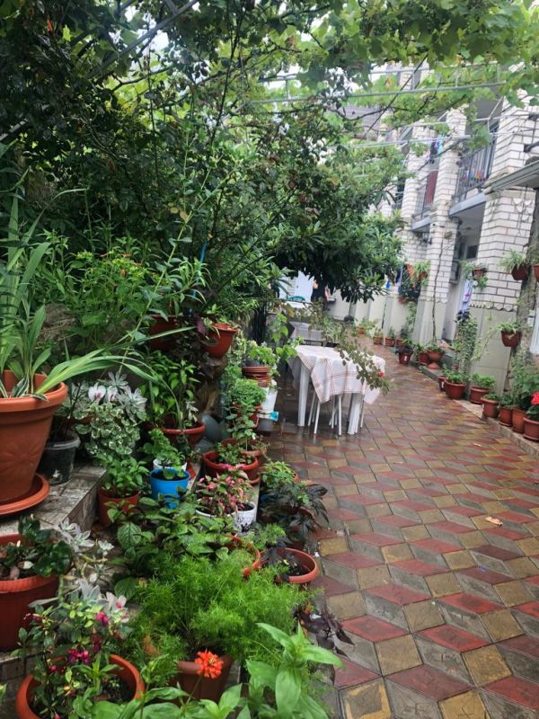 Территория