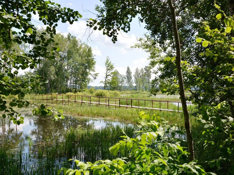 Территория