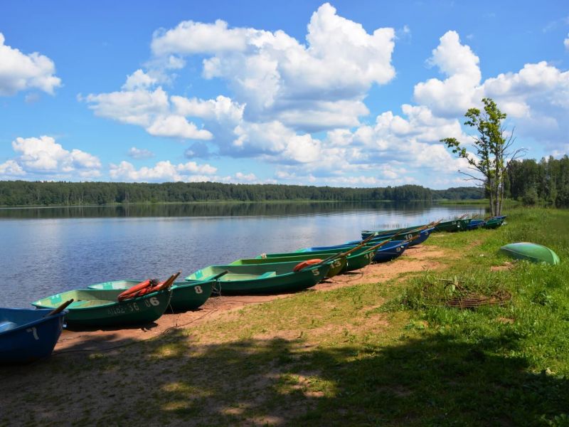 Территория