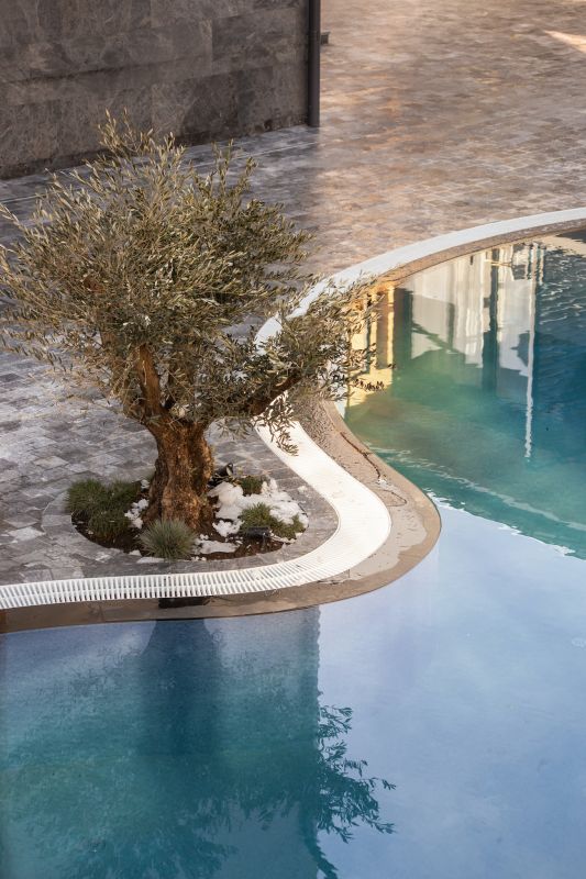 Внешний вид, бассейн