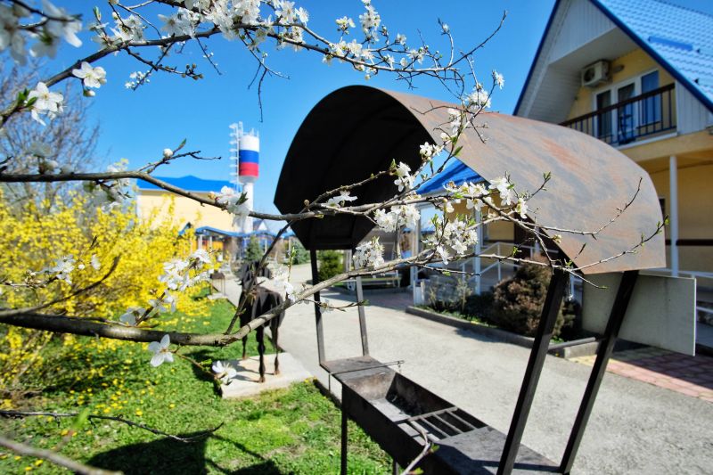 Территория летом