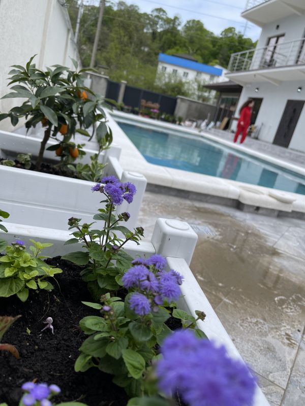 Бассейн, территория