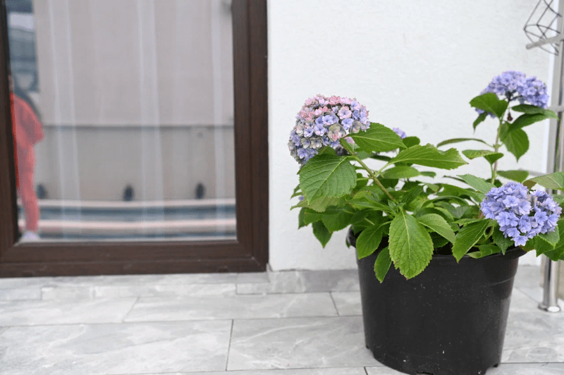 Территория