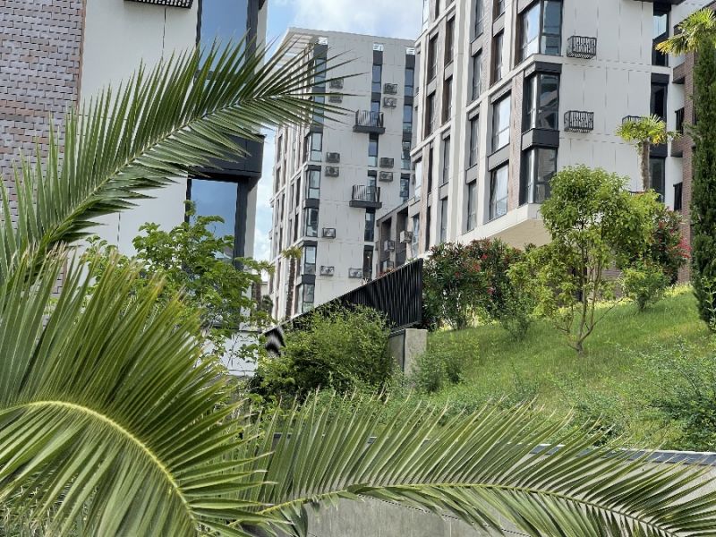 Внешний вид, территория