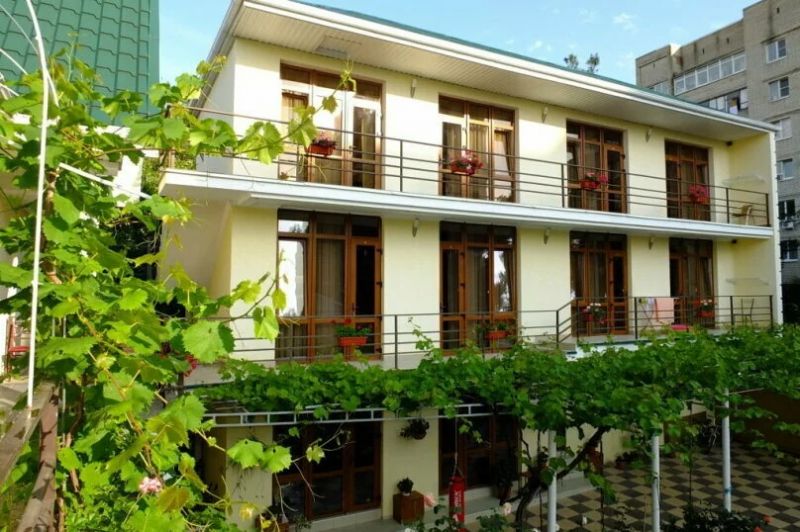 Внешний вид