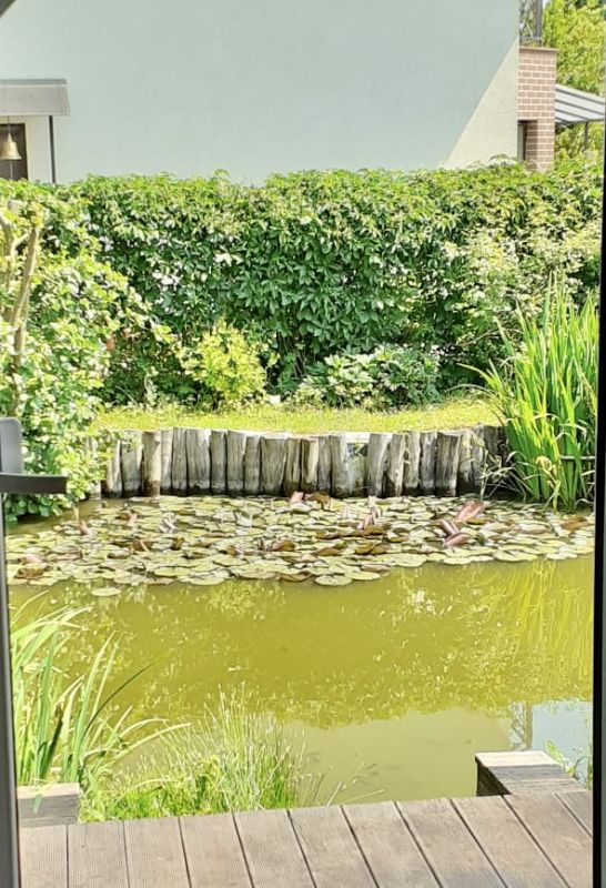 Домик 4-местный